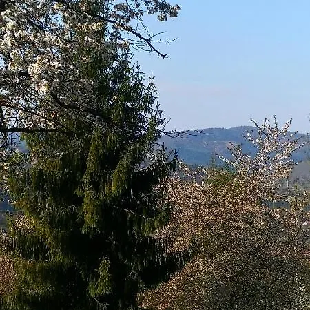 Domek alpejski Caputówka 100 Letnia Chata Rajcza