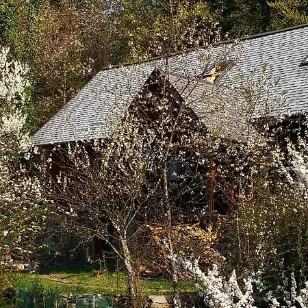 Caputówka 100 Letnia Chata Rajcza