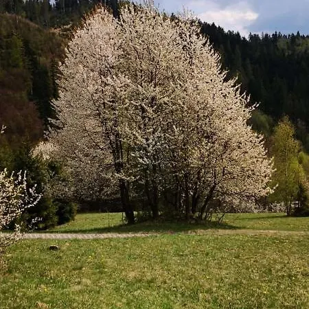 Caputówka 100 Letnia Chata Rajcza